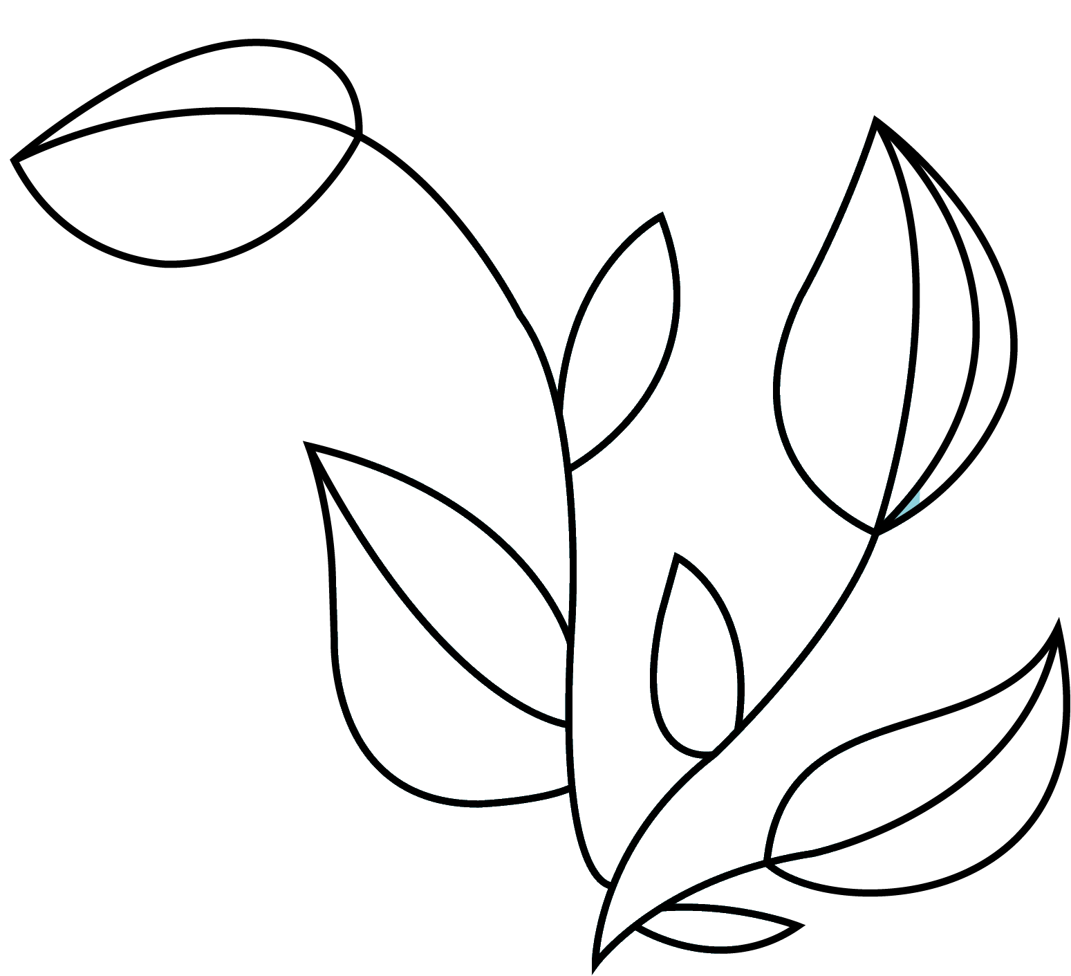 fleur - Eclore Ensemble Horizontal sans fonds