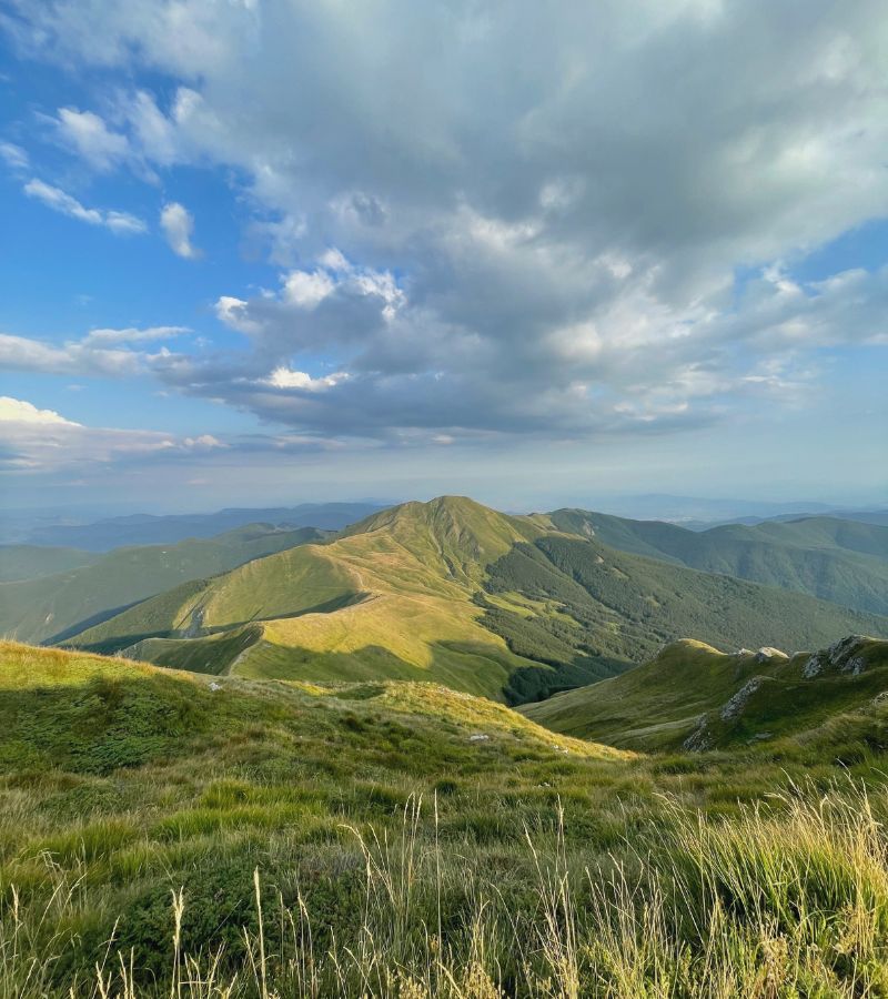 carnet-cheminement-blog