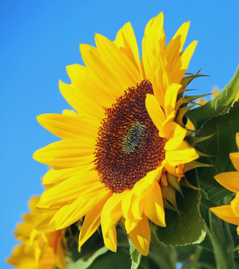 leadership-équipes-vivantes-blog