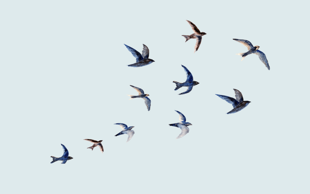 Les 5 dynamiques d&rsquo;une équipe apprenante