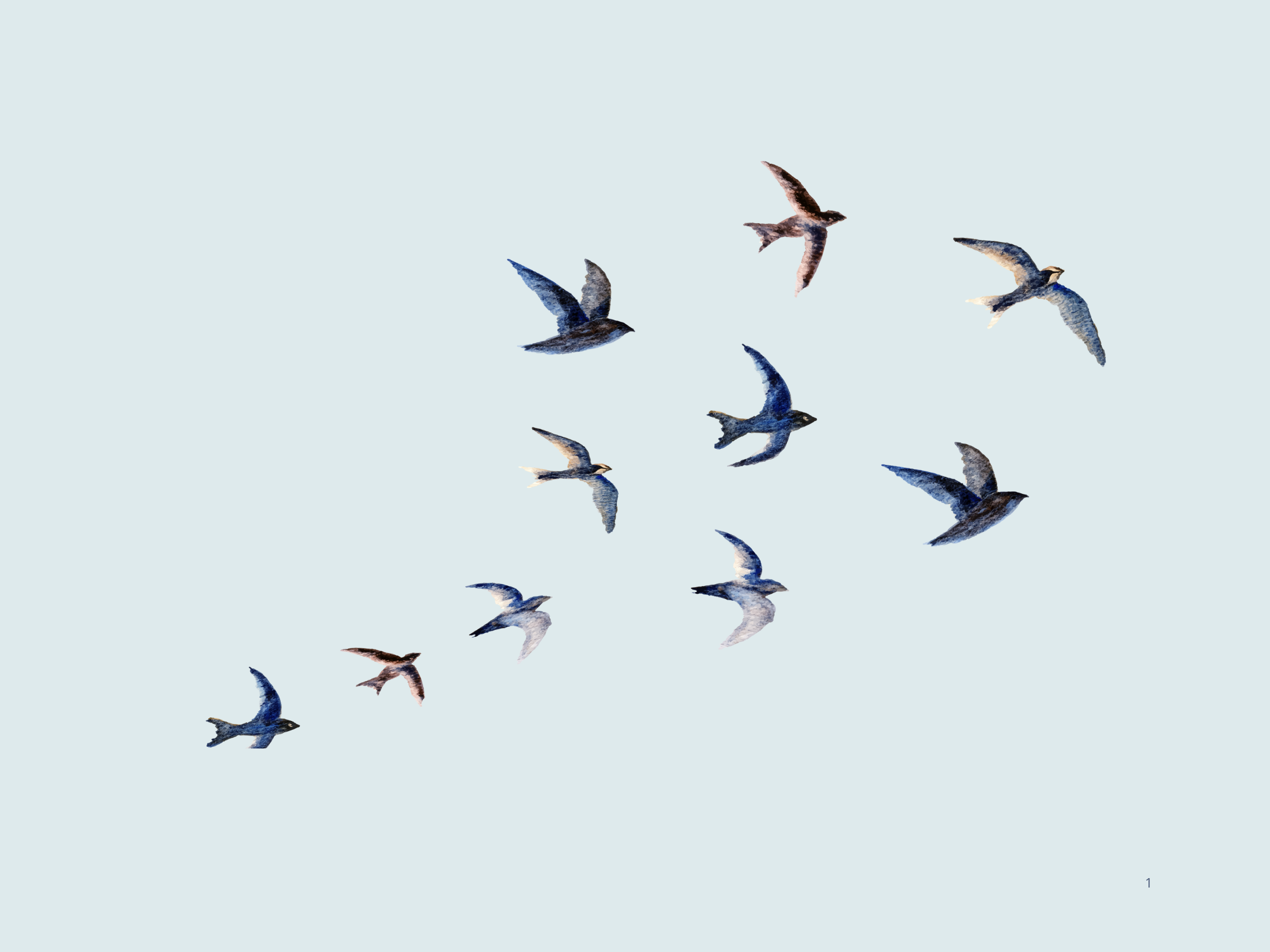 eclore-ensemble-constance08