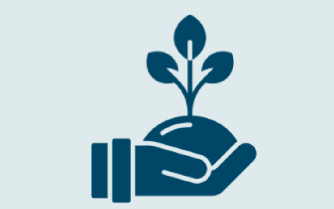 Dynamique 3/5: Une responsabilité qui engage