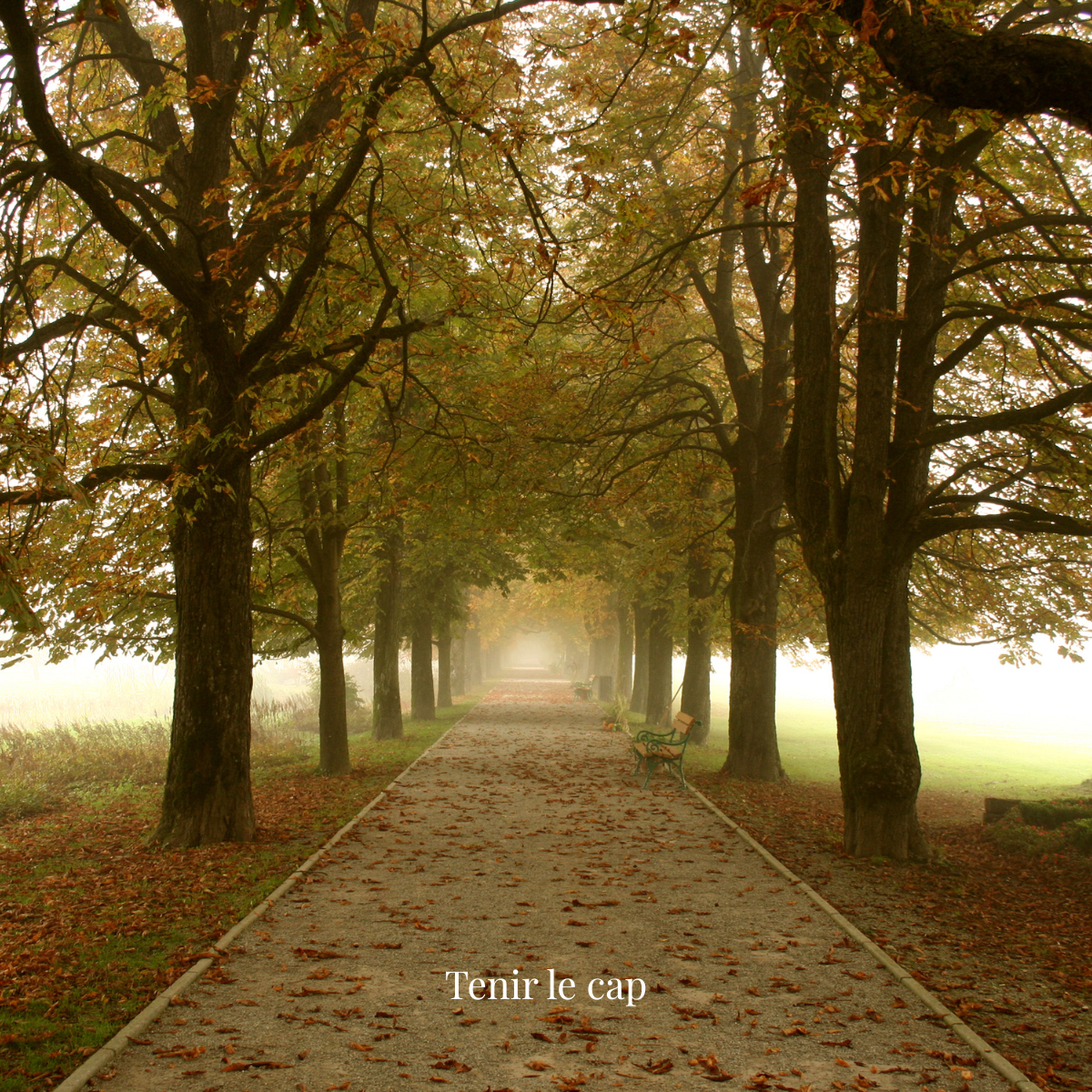 eclore-ensemble-constance08